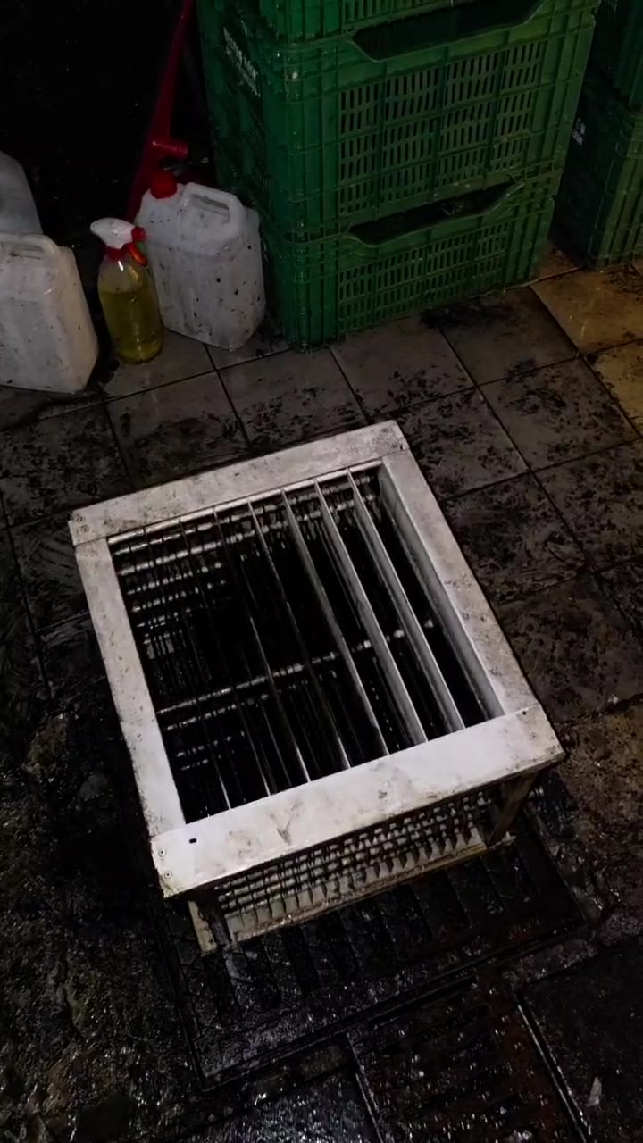 Saha çalışması